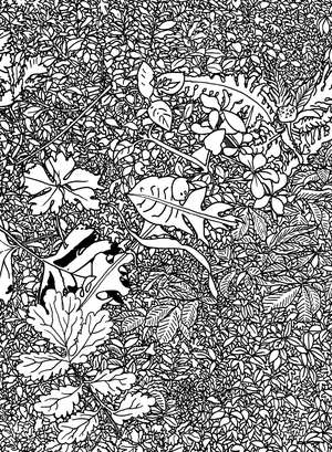 Mille Feuilles de Ingo Giezendanner