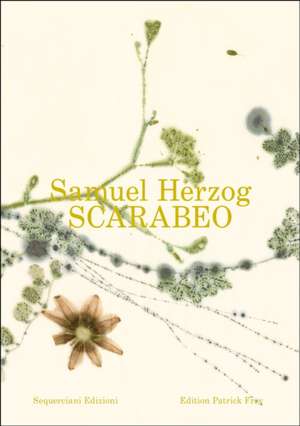Scarabeo (EN) de Samuel Herzog