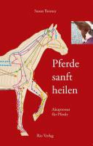 Pferde sanft heilen de Susan Tenney