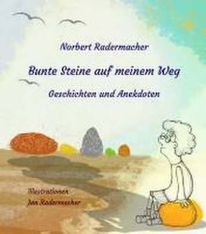 Bunte Steine auf meinem Weg de Norbert Radermacher