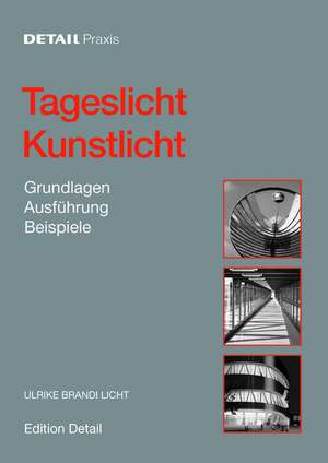 Tageslicht – Kunstlicht – Grundlagen, Ausführung, Beispiele de Ulrike Brandi Licht