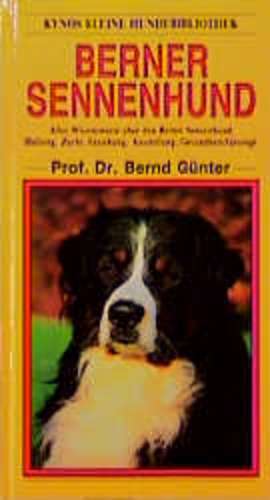 Berner Sennenhund de Bernd Günter