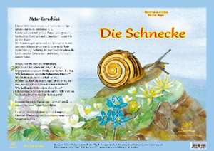 Die Schnecke - Natur-Kamishibai de Heiderose Fischer-Nagel