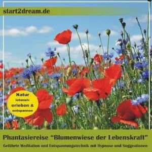 Phantasiereise "Blumenwiese der Lebenskraft" de Nils Klippstein