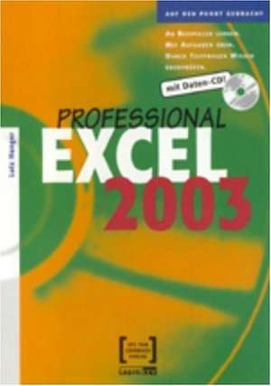 Excel 2003 Professional de Lutz Hunger