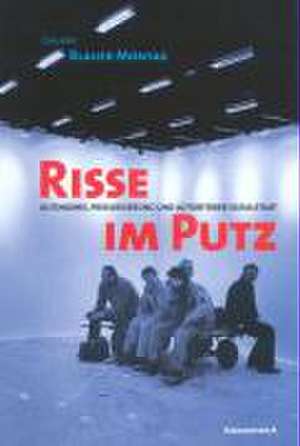 Risse im Putz