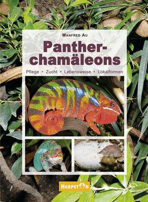 Pantherchamäleons de Manfred Au