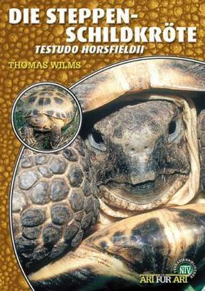 Steppenschildkröte de Thomas Wilms