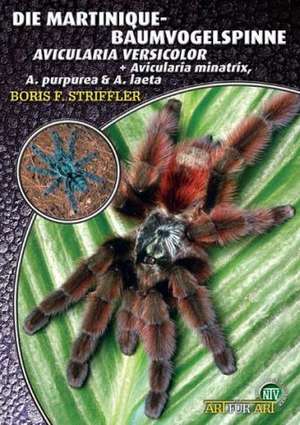 Die Martinique-Baumvogelspinne de Boris Striffler