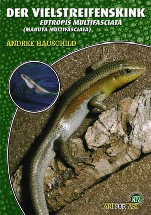 Der Vielstreifenskink de Andree Hauschild