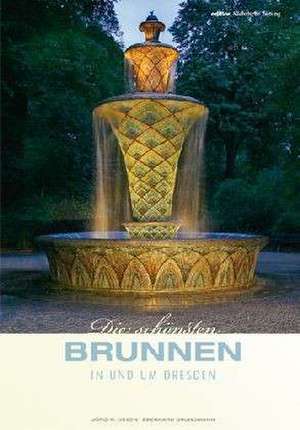 Die schönsten Brunnen in und um Dresden de Eberhard Grundmann