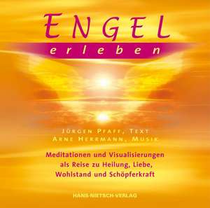 Engel erleben. Audio CD de Jürgen Pfaff