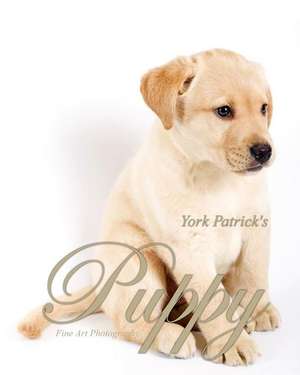 Puppy - Fine Art Photography de York Patrick