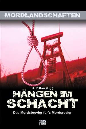 Hängen im Schacht de H. P. Karr