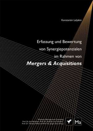 Erfassung und Bewertung von Synergiepotenzialen im Rahmen von Mergers & Acquisitions de Konstantin Leljakin