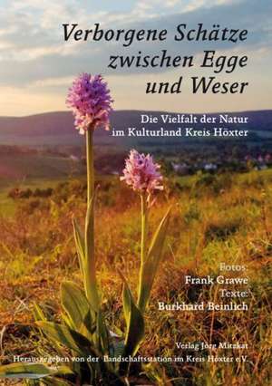 Verborgene Schätze zwischen Egge und Weser de Burkhard Beinlich