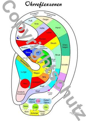 Ohrreflexzonenübersicht de Tanja Aeckersberg