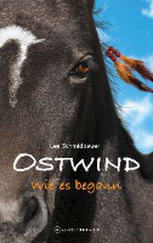 OSTWIND - Wie es begann de Lea Schmidbauer