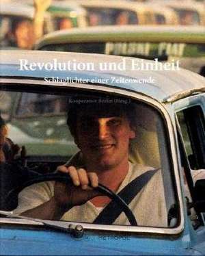 Revolution und Einheit de Andreas Stirn