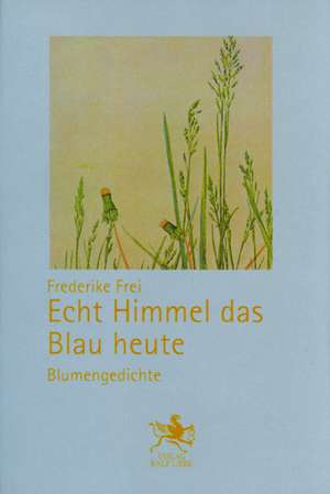 Echt Himmel das Blau heute de Frederike Frei