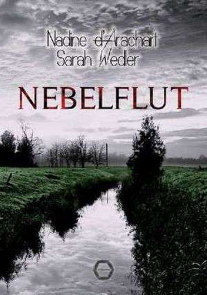 Nebelflut de Nadine DArachart