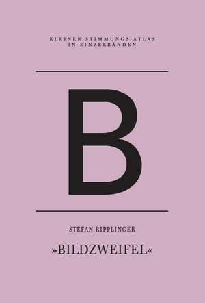 B - Bildzweifel de Stefan Ripplinger