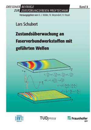 Zustandsüberwachung an Faserverbundwerkstoffen mit geführten Wellen de Lars Schubert