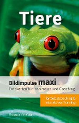 Bildimpulse maxi: Tiere de Bodo Pack