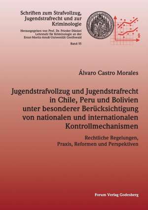 Jugendstrafvollzug und Jugendstrafrecht in Chile, Peru und Bolivien unter besonderer Berücksichtigung von nationalen und internationalen Kontrollmechanismen de Álvaro Castro Morales