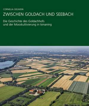 Zwischen Goldach und Seebach de Cornelia Oelwein