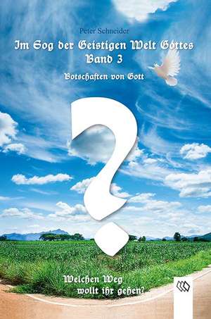 Im Sog der geistigen Welt Gottes Band 3 de Peter Schneider