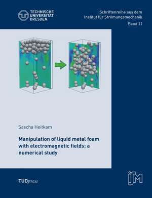 Manipulation of liquid metal foam with electromagnetic fields: a numerical study de Sascha Heitkam