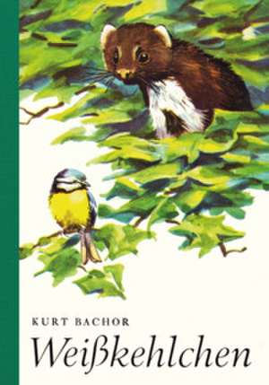 Weißkehlchen de Kurt Bachor