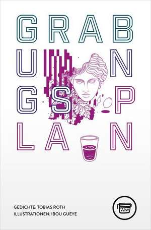 Grabungsplan de Tobias Roth