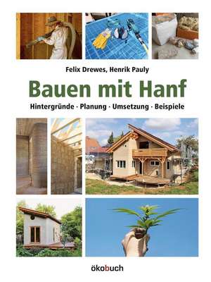 Bauen mit Hanf de Felix Drewes