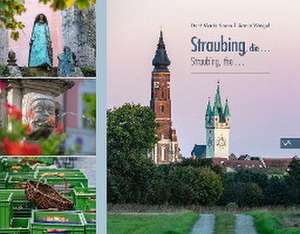 Straubing, die... de Dorit-Maria Krenn