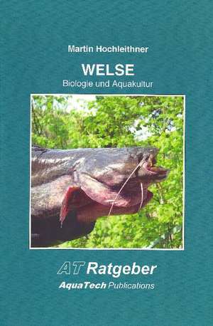 Welse (Siluridae) de Martin Hochleithner