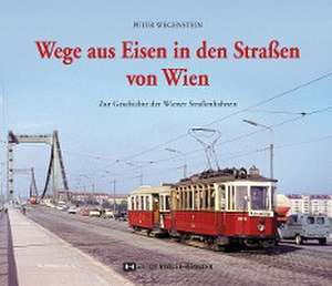 Wege aus Eisen in den Straßen von Wien de Peter Wegenstein