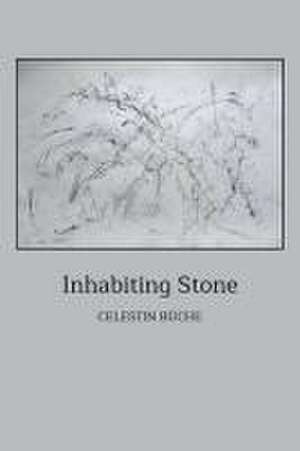 Inhabiting Stone de Celestin Büche