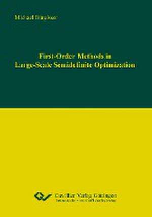 First-Order Methods in Large-Scale Semidenite Optimization de Michael Bürgisser