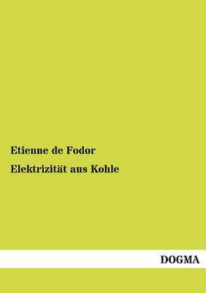 Elektrizität aus Kohle de Etienne De Fodor