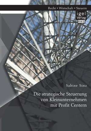 Die Strategische Steuerung Von Kleinunternehmen Mit Profit Centern: Die Synthese Von Coso Enterprise Risk Management Und Balanced Scorecar de Sabine Sinz