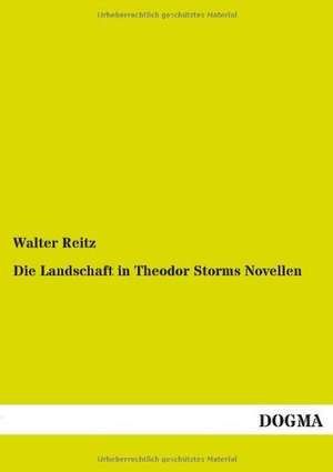 Die Landschaft in Theodor Storms Novellen de Walter Reitz