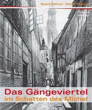 Die Gängeviertel im Schatten des Michels de Geerd Dahms