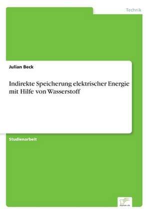 Indirekte Speicherung elektrischer Energie mit Hilfe von Wasserstoff de Julian Beck