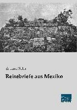 Reisebriefe aus Mexiko de Eduard Seler