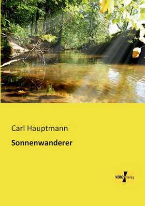 Sonnenwanderer de Carl Hauptmann