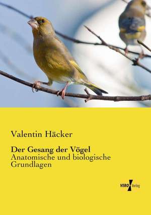 Der Gesang der Vögel de Valentin Häcker