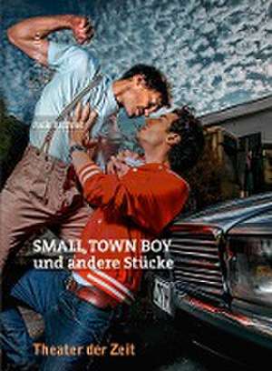 SMALL TOWN BOY und andere Stücke de Falk Richter