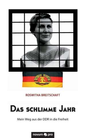 Das schlimme Jahr de Roswitha Breitschaft